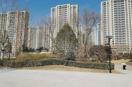 中新國際城綜合評測 優(yōu)點、不足、周邊中介及物業(yè)管理分析